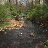 Jeremy Lehman Photo 9