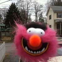 Sharon Kidd Photo 19