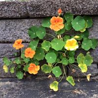 Alicia Beck Photo 15