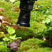 Sue Shaw Photo 4