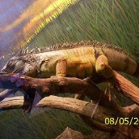 Shelley Thompson Photo 32