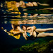 Sarah Thrasher Photo 9