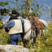 John Tyson Photo 33