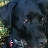 Sharon Wetzel Photo 6