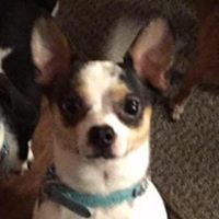 Vicki Fulton Photo 11