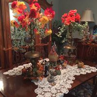 Cathy Andersen Photo 11