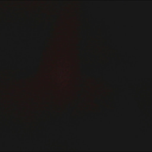 Kristin Holland Photo 36