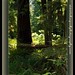 Janet Grove Photo 22