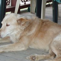 Rosemary Sharp Photo 22