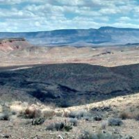 Christine Kendrick Photo 32