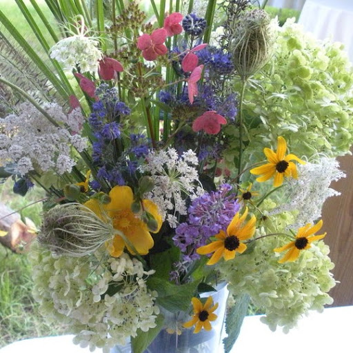 Sara Collins Photo 13