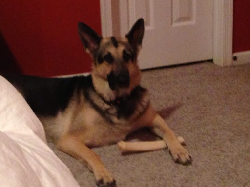 Angela Hollingsworth Photo 16