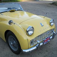 Tracey Fitch Photo 14