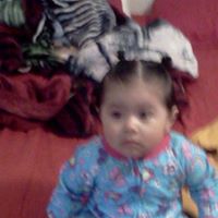 Saul Rojas Photo 11