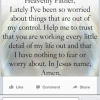 Stacy Abbott Photo 11