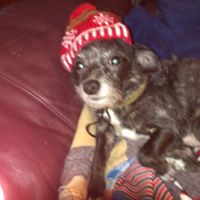 Sandra Hirsch Photo 17