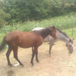 Paul Milam Photo 7