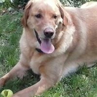 Cindy Slack Photo 12