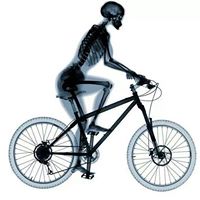 Geoff Abbott Photo 31