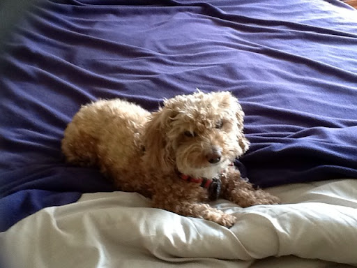 Dennis Kennedy Photo 4 Dennis Kennedy Photo 4