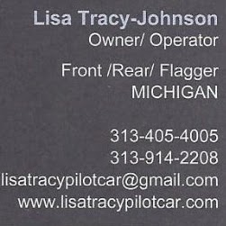 Lisa Tracy Photo 17