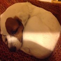 Katherine Roe Photo 18