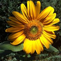 Jill Warner Photo 18