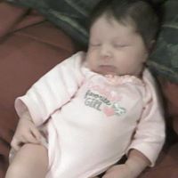 Daniel Farris Photo 32 Daniel Farris Photo 32