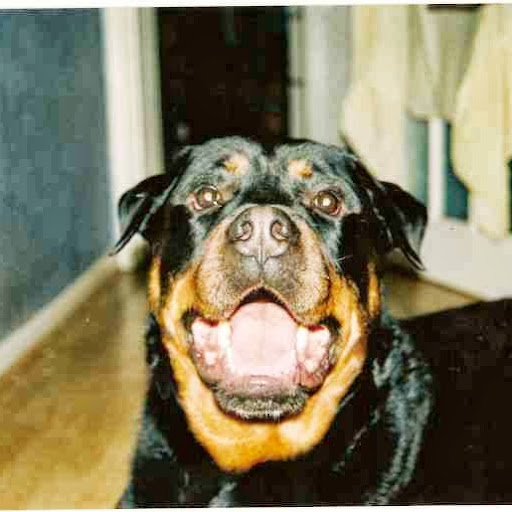 Leah Hull Photo 10