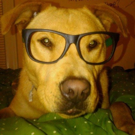 Sarah Bartholomew Photo 13