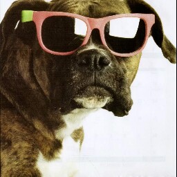 Debbie Mcclintock Photo 20