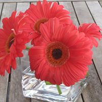 Catherine Garner Photo 16