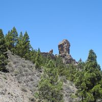 Jennifer Roos Photo 9