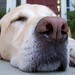 Joy Samson Photo 15