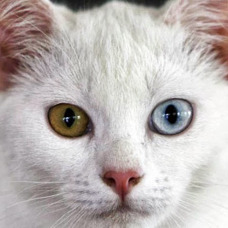 Stacy Walsh Photo 37