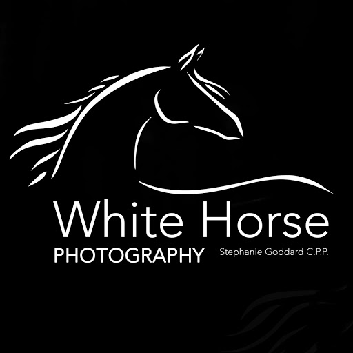 Stephanie Goddard Photo 32