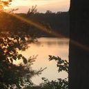 Christine Collier Photo 6