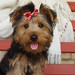 Shelly Bailey Photo 29
