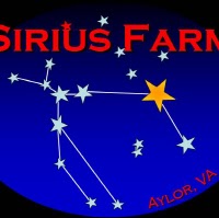 Tom Hedrick Photo 22