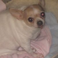 Patsy Collins Photo 19