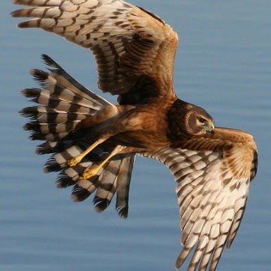 Daniel Potter Photo 16