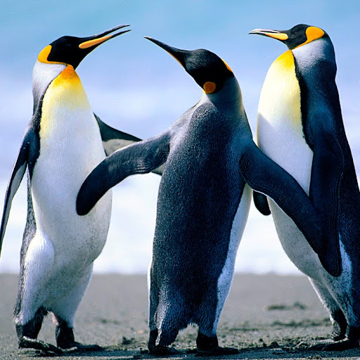 Jeremy Vaughn Photo 17