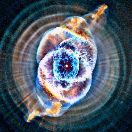 Emily Vaughan Photo 3