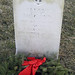 Beverly Mccann Photo 15