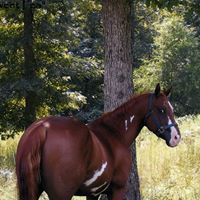 Michele Stokes Photo 19