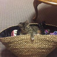 Loretta Parker Photo 13