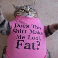 Megan Rutledge Photo 26