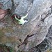 Jennifer Limbach Photo 6
