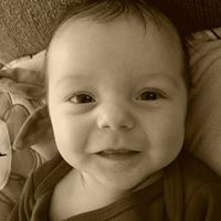 Scott Healy Photo 22