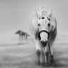 Alan Luck Photo 15